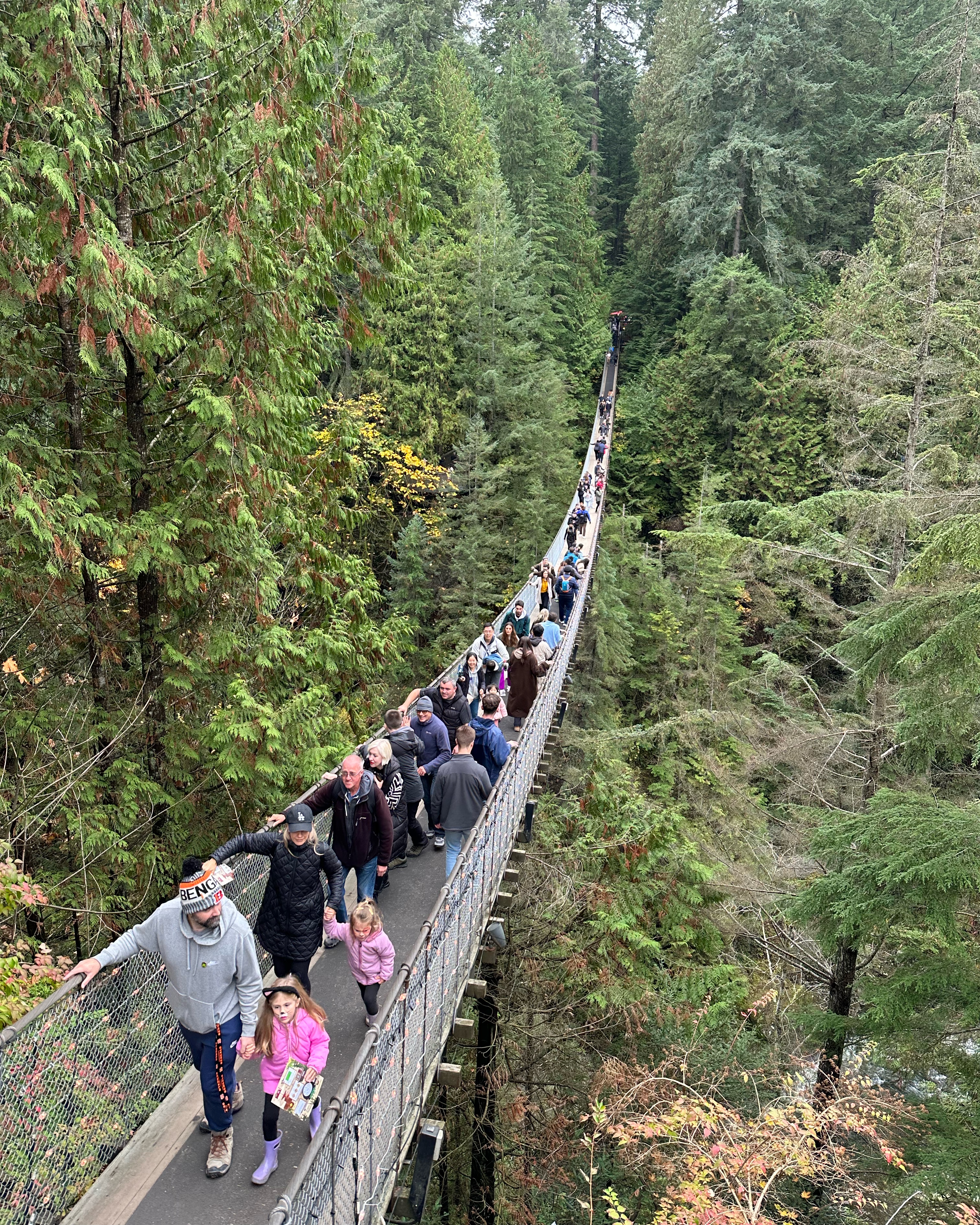 Things to do in Vancouver Capilano Suspension Bridge Park