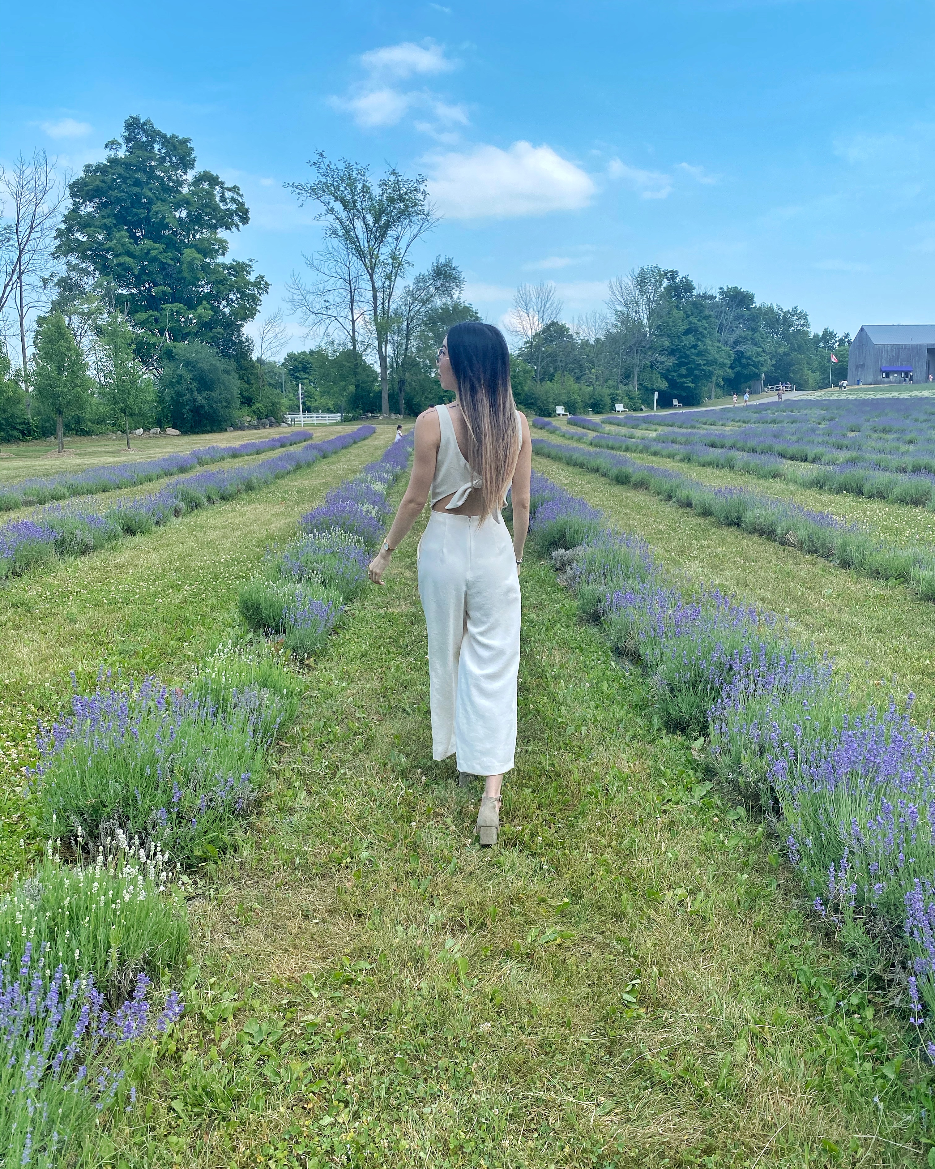What it's Like to Visit a Lavender Farm During COVID - Michelle's In Style